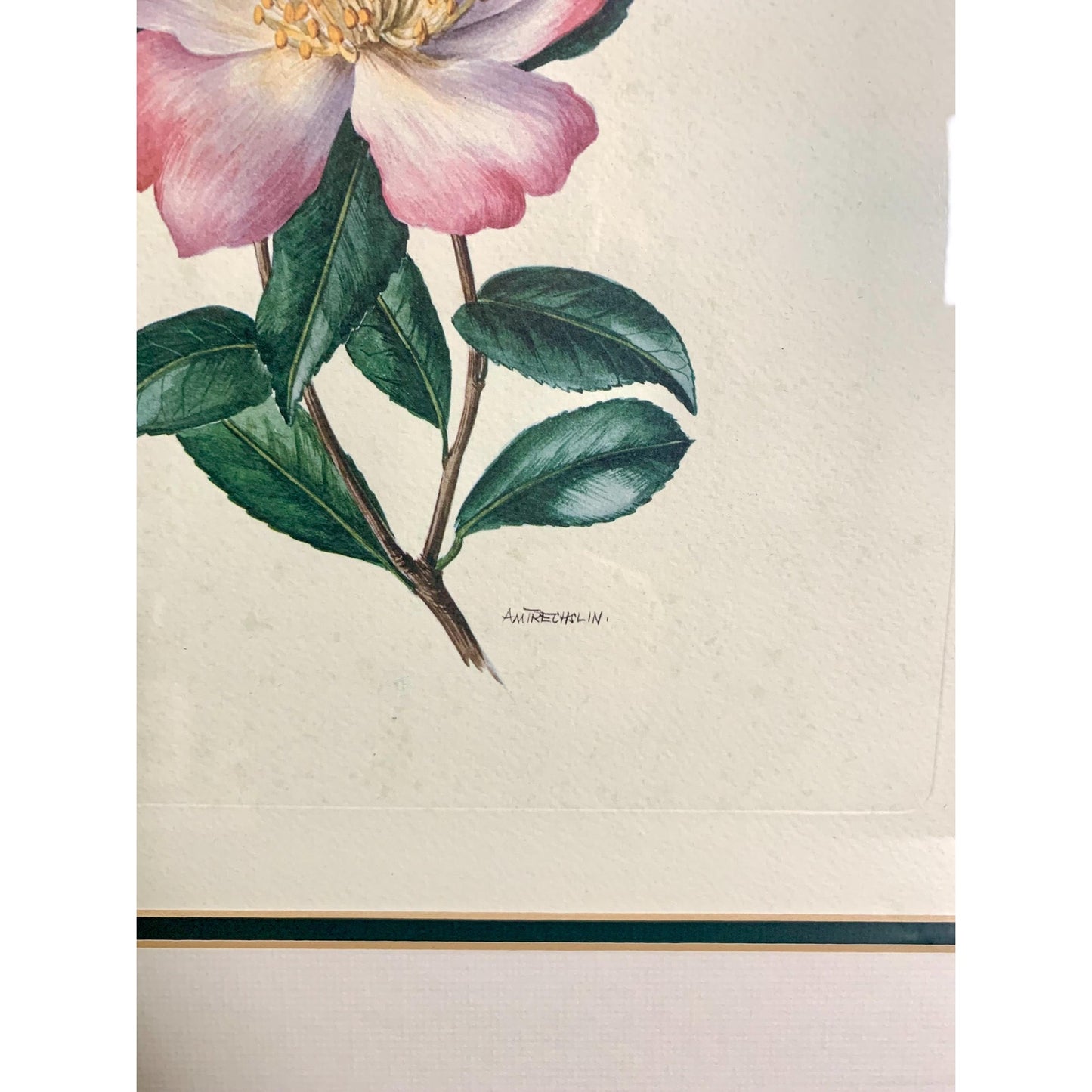 Large Vintage Floral Lithograph Signed by Ann Trechslin, Framed and Matted