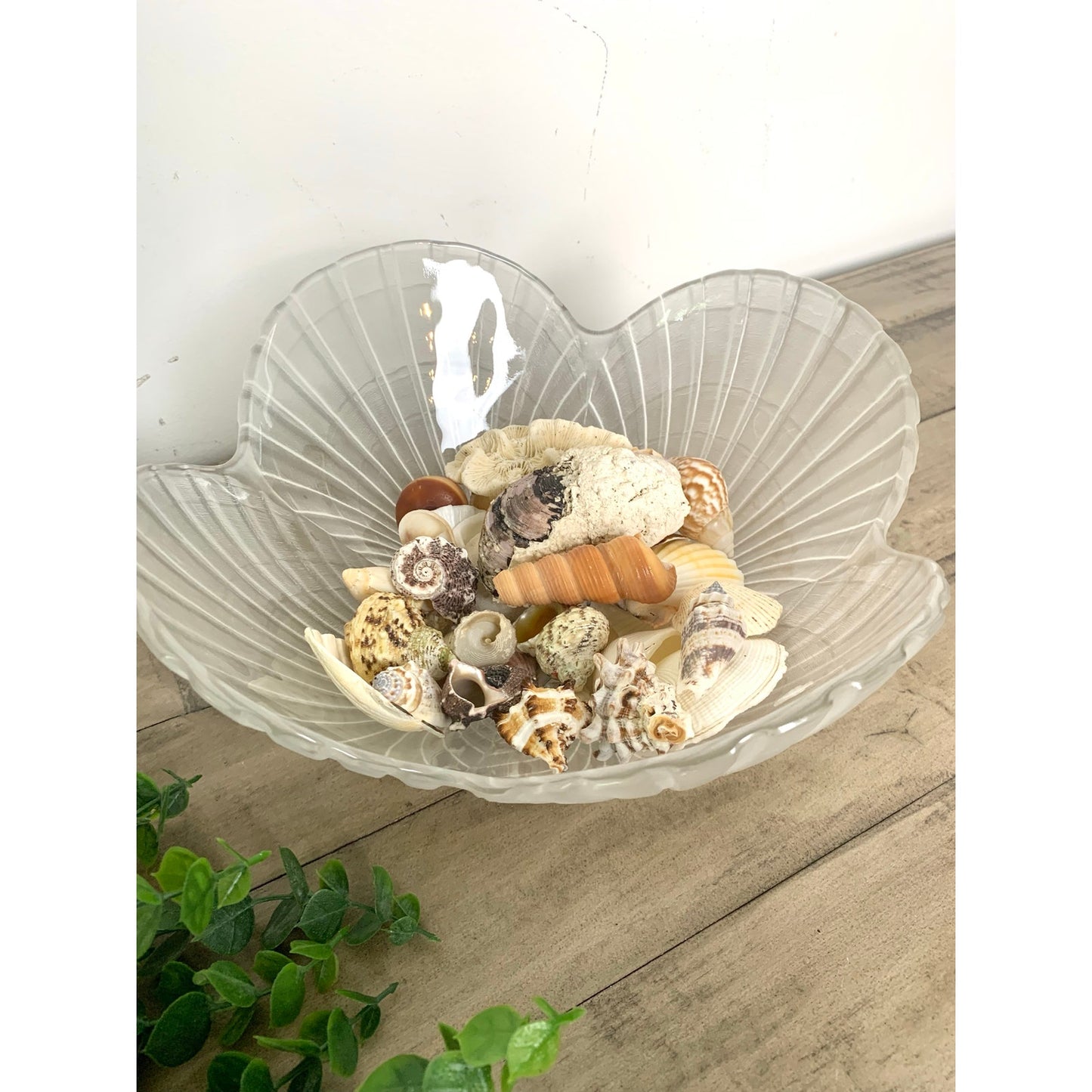 Vintage Mikasa Frosted Crystal Glass Clamshell Coastal Serving Salad Bowl