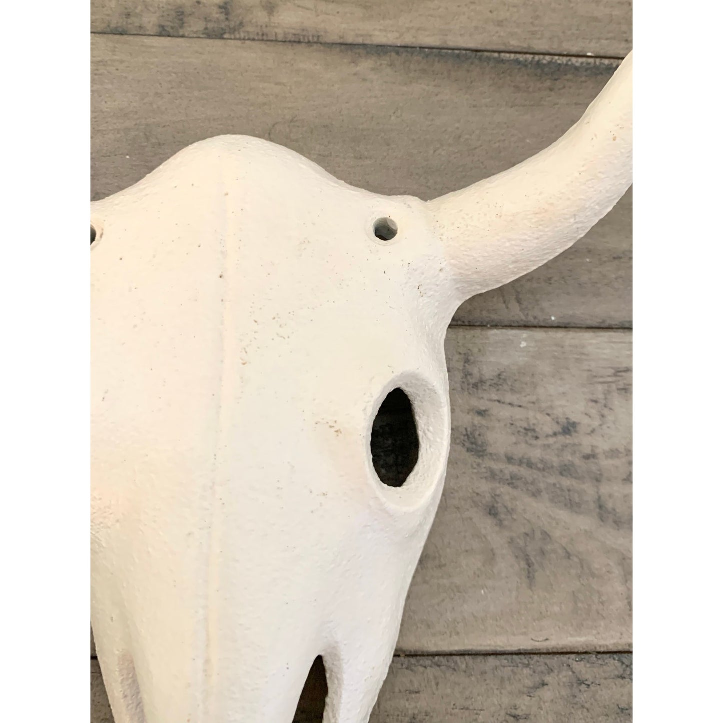 Cast Iron Longhorn Skull Wall Decor Rustic Western Wall Hanging White Bull 3D