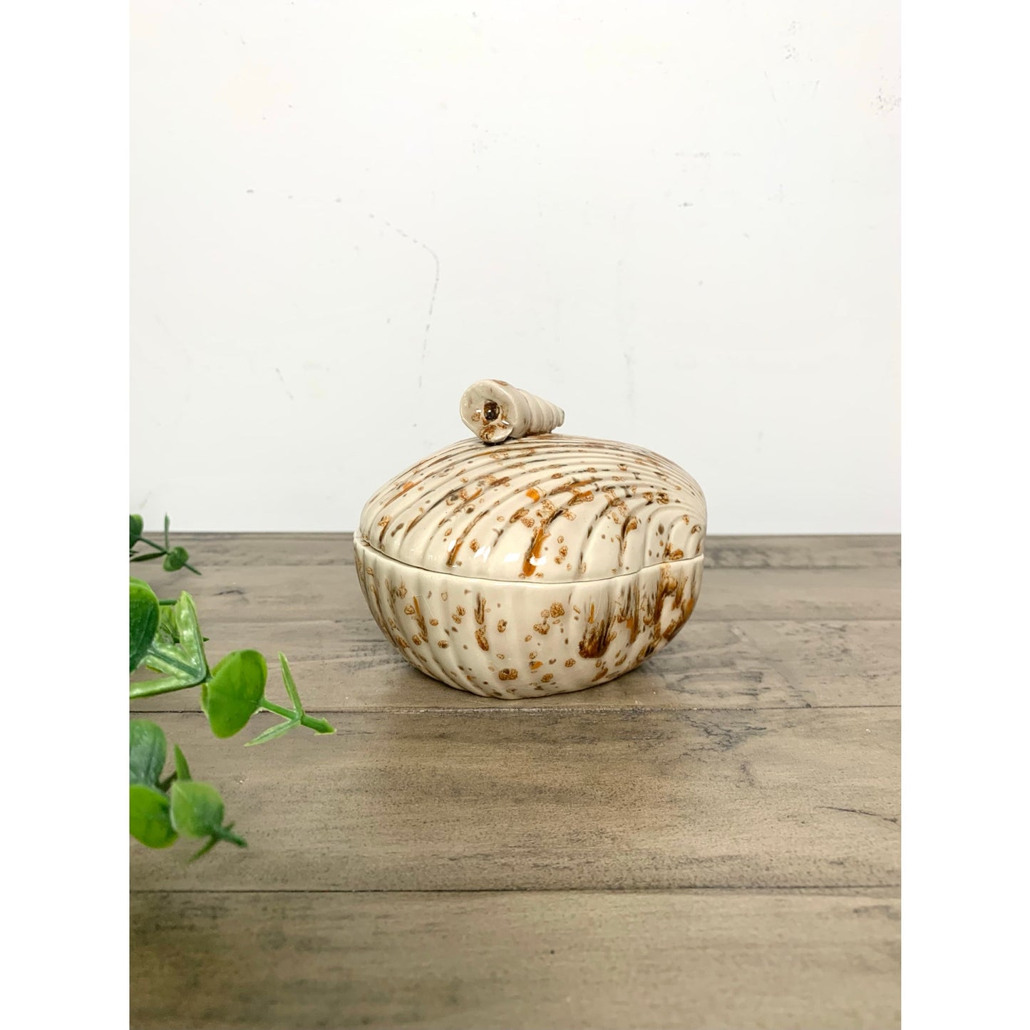 Vintage 1982 Scioto Ceramics Shell Lidded Trinket Dish Box Coastal Beach Cottage