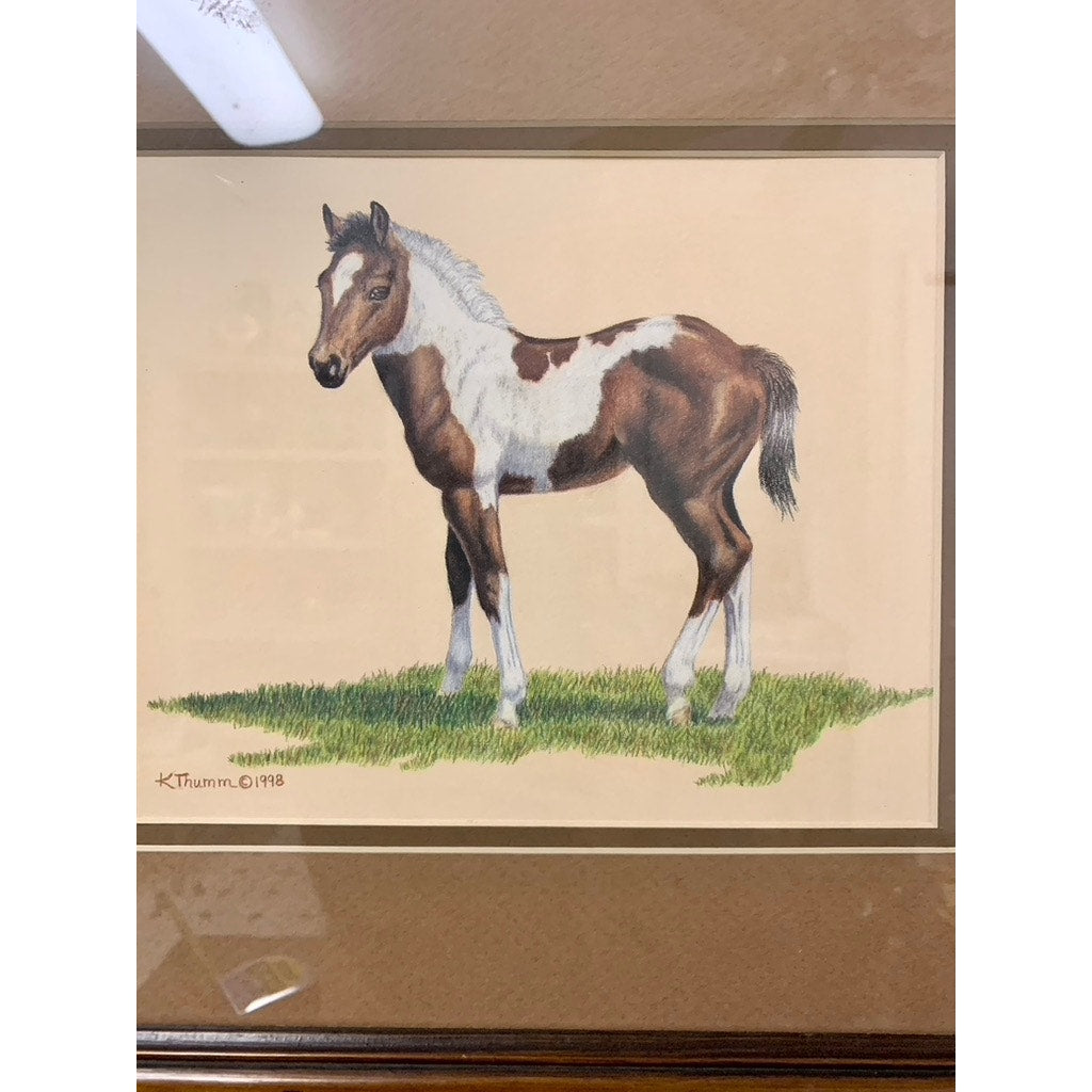 Vintage Limited Edition Horse Print Framed Signed 1998 Karen Thumm Equestrian Art