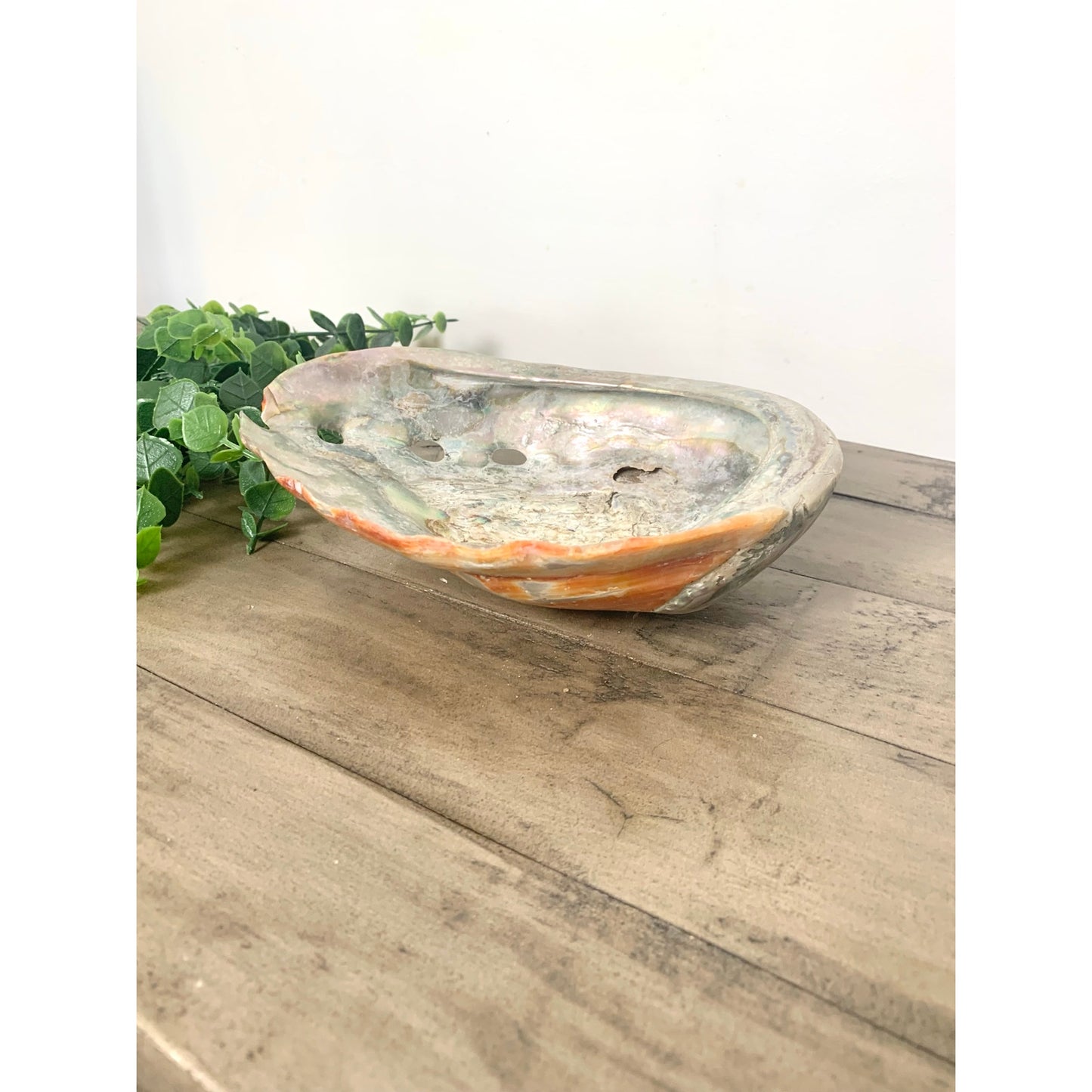 Large Natural Abalone Shell Bowl Iridescent Coastal Smudging Seashell Beach Cottage Display