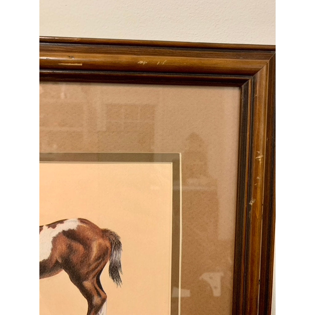 Vintage Limited Edition Horse Print Framed Signed 1998 Karen Thumm Equestrian Art