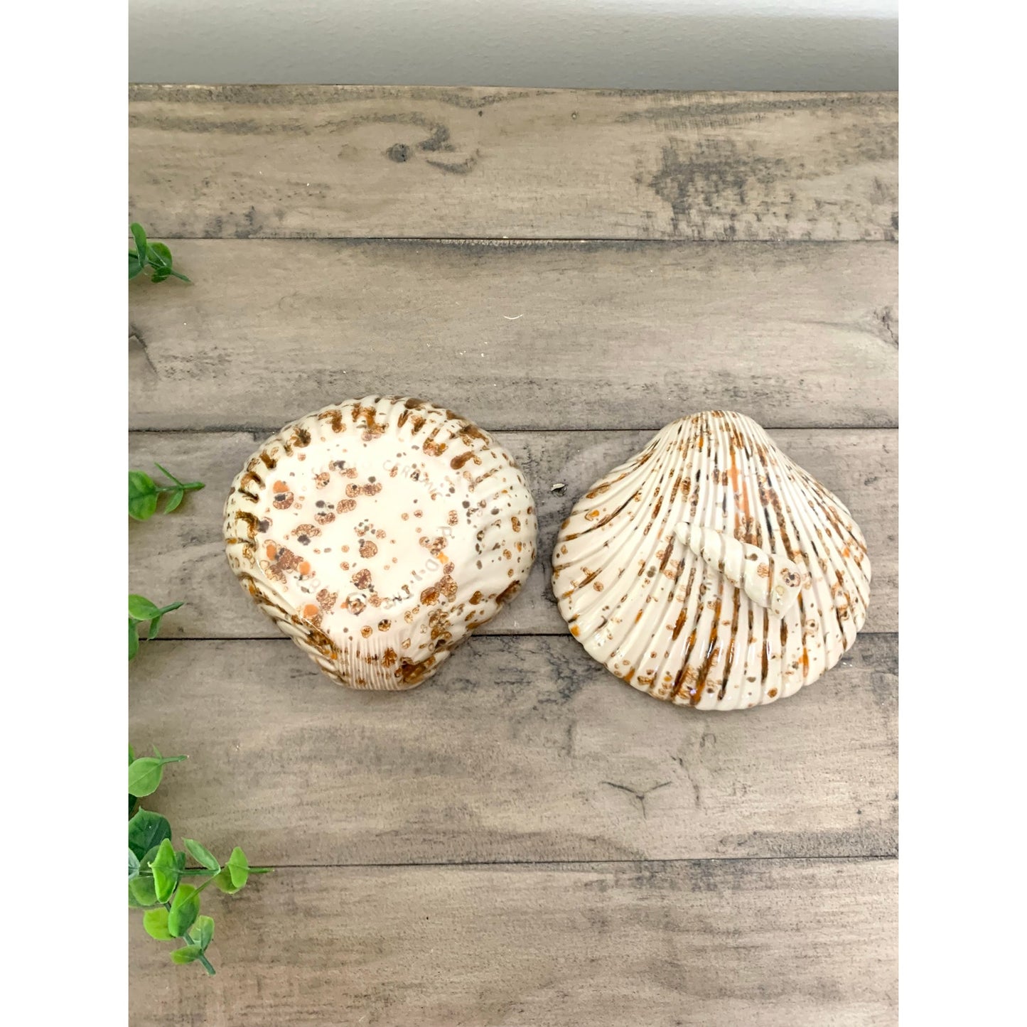 Vintage 1982 Scioto Ceramics Shell Lidded Trinket Dish Box Coastal Beach Cottage