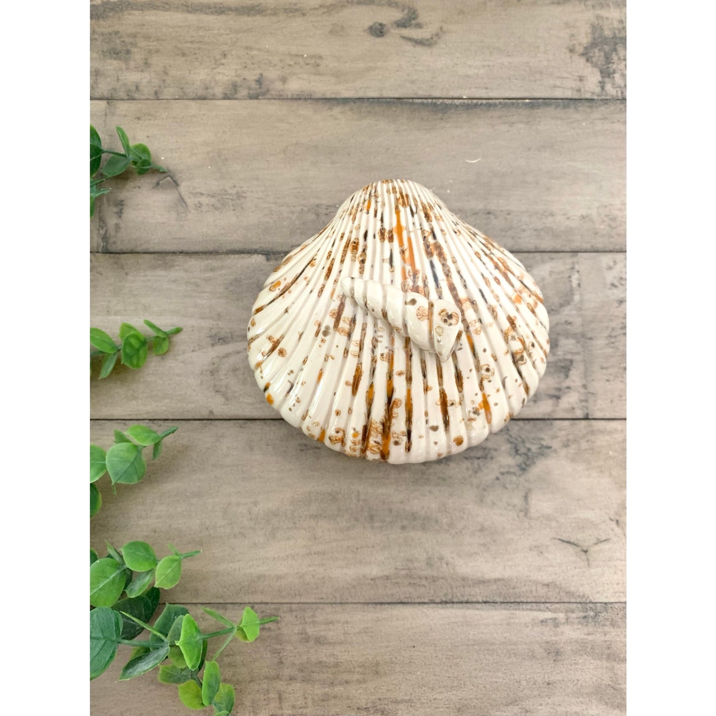 Vintage 1982 Scioto Ceramics Shell Lidded Trinket Dish Box Coastal Beach Cottage