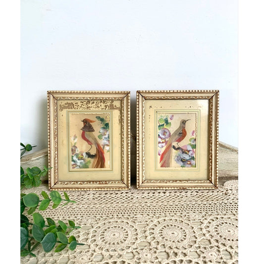 Vintage Mexican Feather Art Bird Set Framed Pair Tropical Coastal Cottagecore Wall Decor