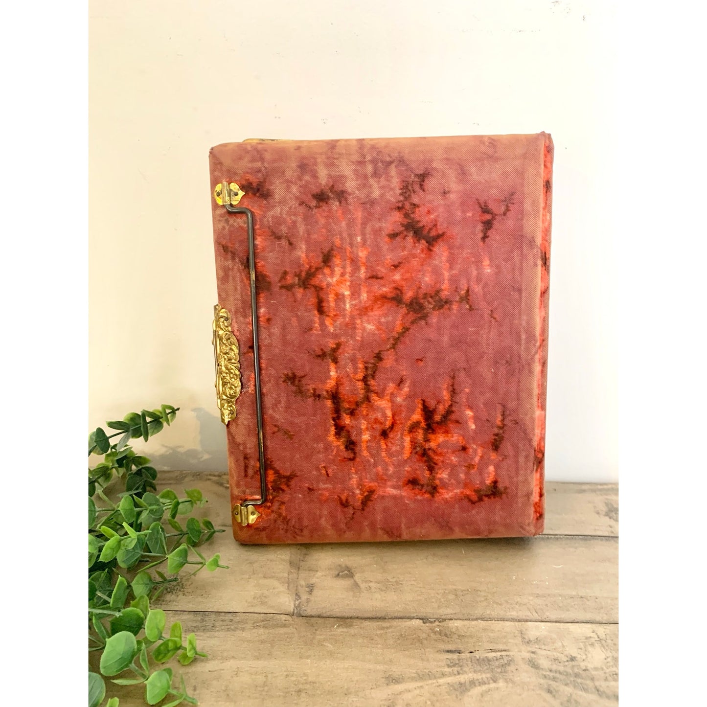 Antique Victorian Photograph Album Cherub Gilt Memorial Keepsake Ephemera Romantic